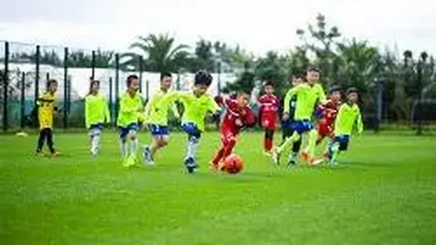 开宝体育 产品 232712 klo